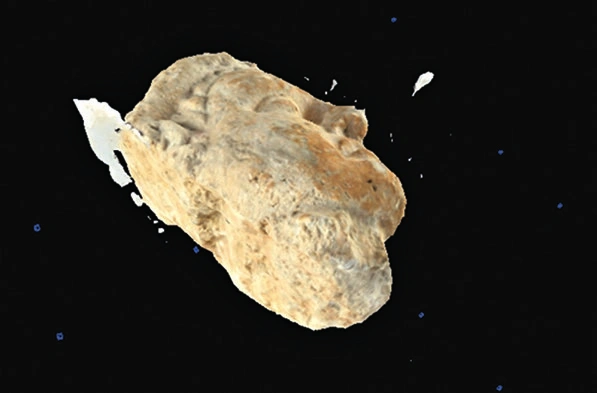 Aquino et al. 2021, fig.5 - thumbnail