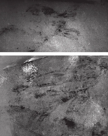Triolo et al. 2021, fig.5 - thumbnail