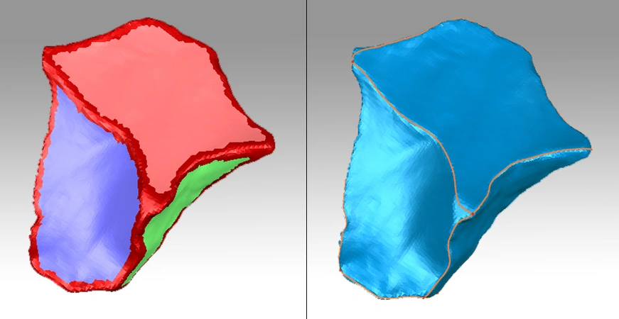 Delpiano 2021, fig. 5 - thumbnail