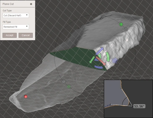 Delpiano 2021, fig. 6 - thumbnail