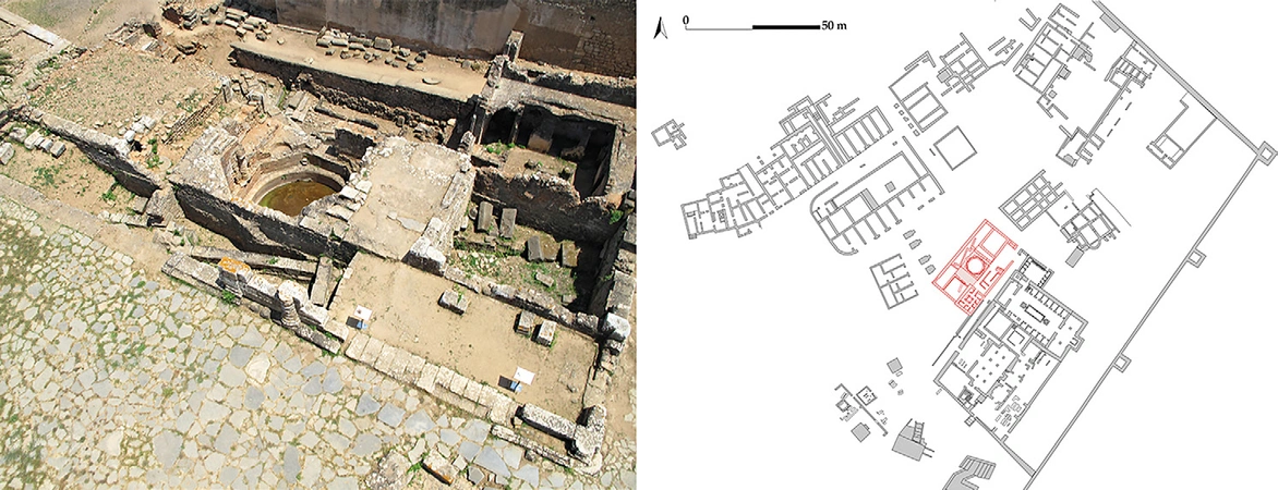 Pansini 2022, fig. 5 - thumbnail