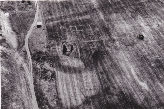 Cacciari, Pocobelli 2021, fig. 2 - thumbnail
