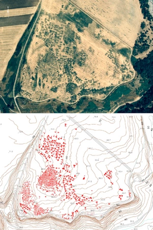 Cacciari, Pocobelli 2021, fig. 3 - thumbnail