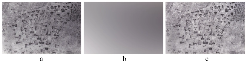 Cacciari, Pocobelli 2021, fig. 4 - thumbnail