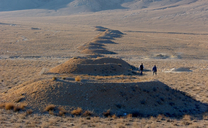 Boccuti  et al. 2022, fig. 1 - thumbnail