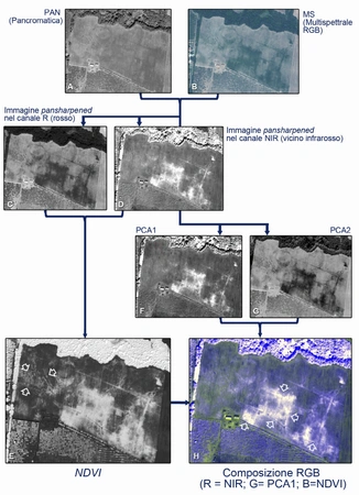 Miccoli 2022, fig. 4 - thumbnail