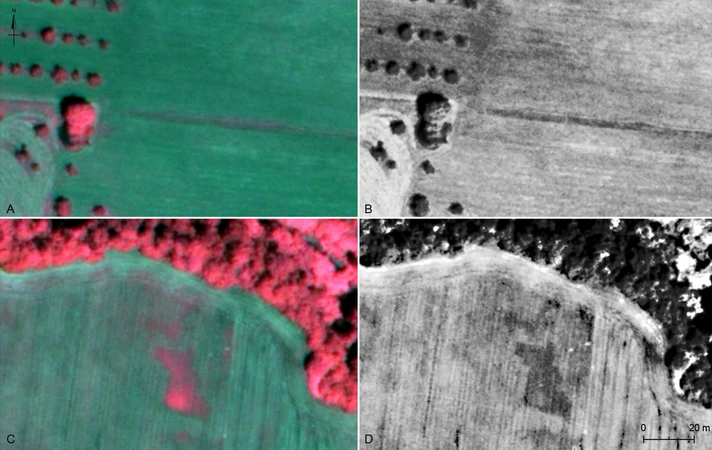 Miccoli 2022, fig. 8 - thumbnail