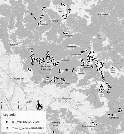 Paperini, Anichini, Gattiglia 2022, fig. 5 - thumbnail