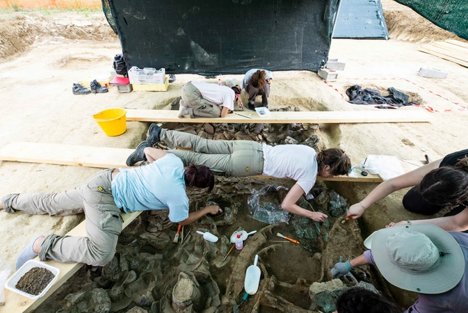 Boschi 2022, fig. 3 - thumbnail