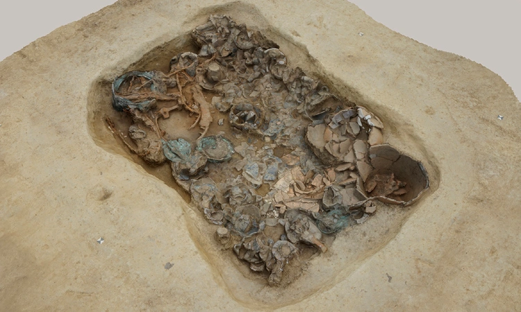 Boschi 2022, fig. 6 - thumbnail