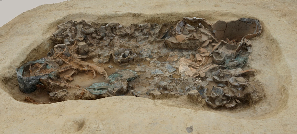 Boschi 2022, fig. 7 - thumbnail