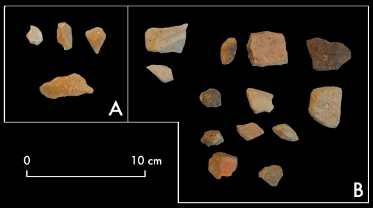 Abballe, Cavalazzi 2021, fig. 6 - thumbnail