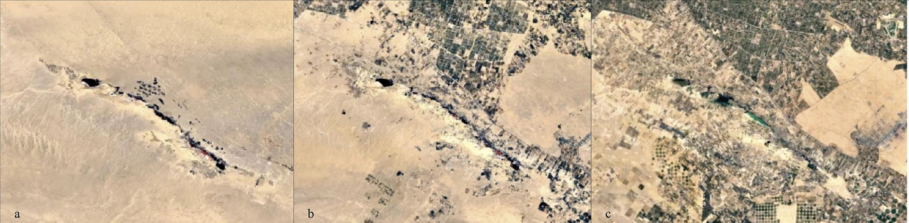 Bogdani, D'Erasmo 2023, fig. 1 - thumbnail