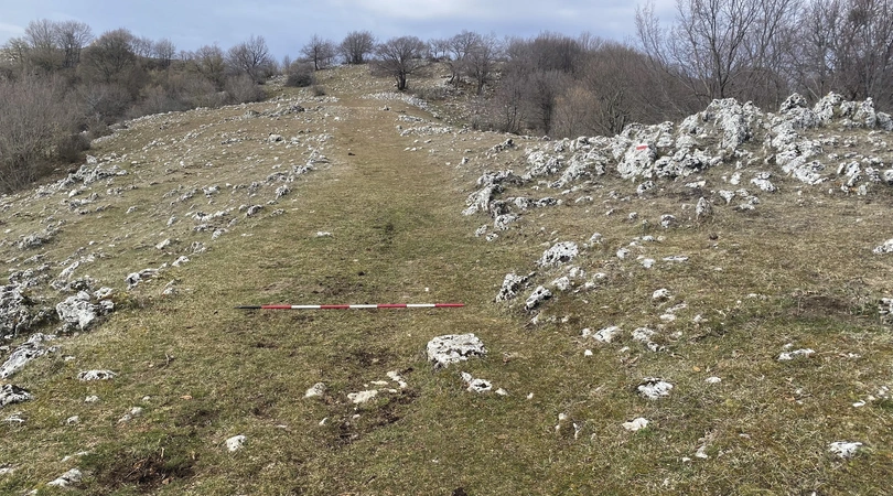 Rosati 2023, fig. 5 - thumbnail