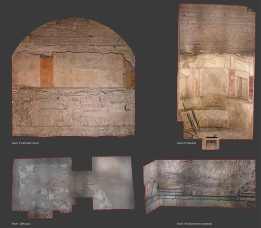 Ippolito et al. 2023, fig. 6 - thumbnail