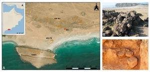 Vangeli et al. 2023, fig. 1 - thumbnail