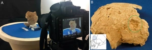 Vangeli et al. 2023, fig. 2 - thumbnail
