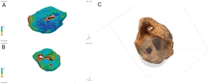 Vangeli et al. 2023, fig. 4 - thumbnail
