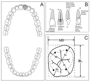 Vangeli et al. 2023, fig. 6 - thumbnail