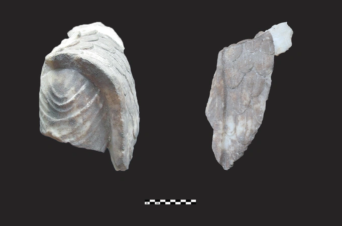 Semeraro, Mannino, Ria 2023, fig. 4 - thumbnail