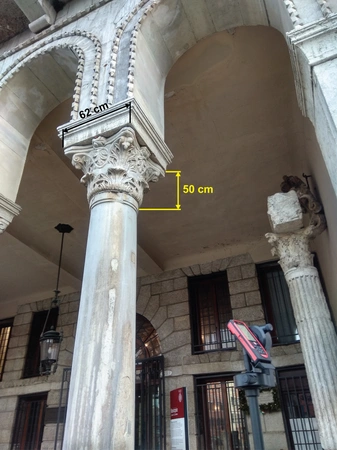 Calvelli et al. 2021, fig. 2 - thumbnail