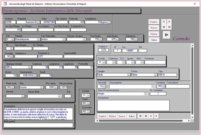 Massanova, Pellegrino 2024, fig. 1 - thumbnail